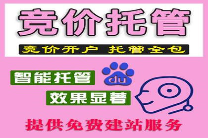 百度推广竞价实战：案例分析与优化策略