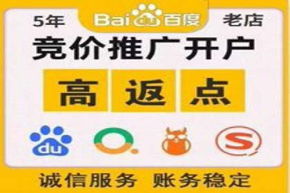 搜索开户返点案例分析：如何赚取丰厚回报